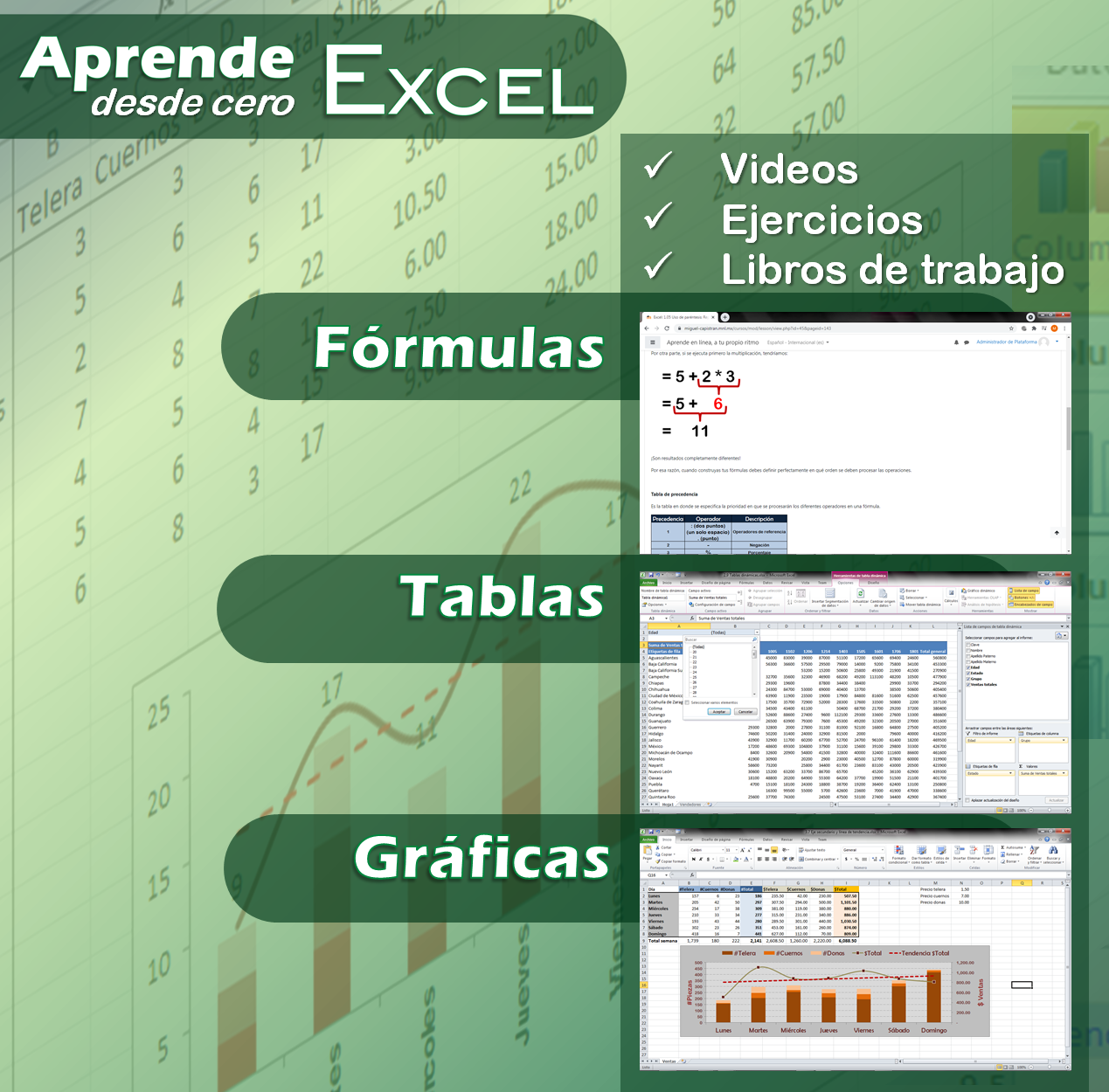 Curso Aprende Excel Plan Básico Conscap 4318